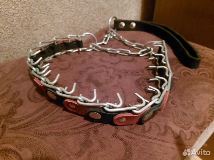 Строгий ошейник Новый