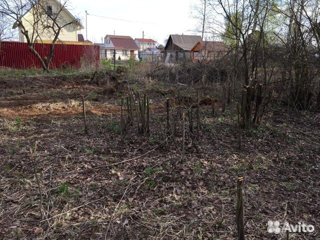 Расчистка, подготовка, выравнивание участка