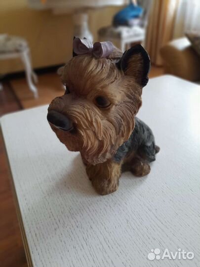 Йоркширский терьер