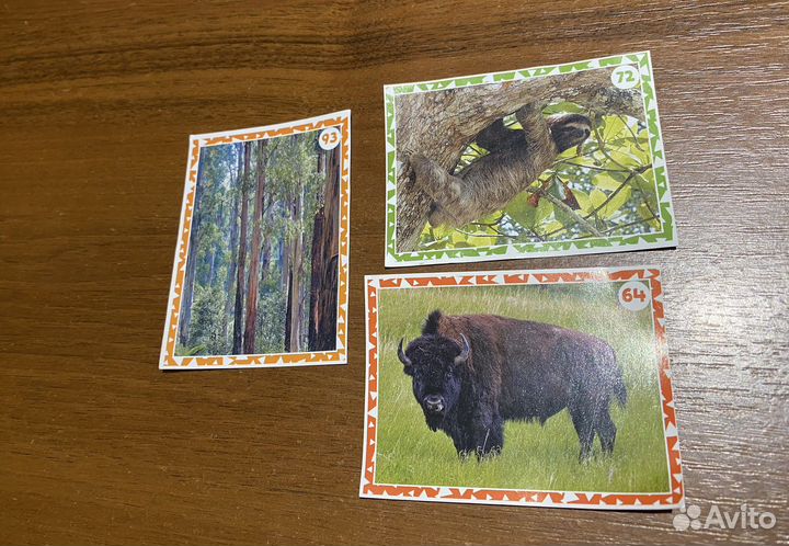 Наклейки 3Д Живая планета