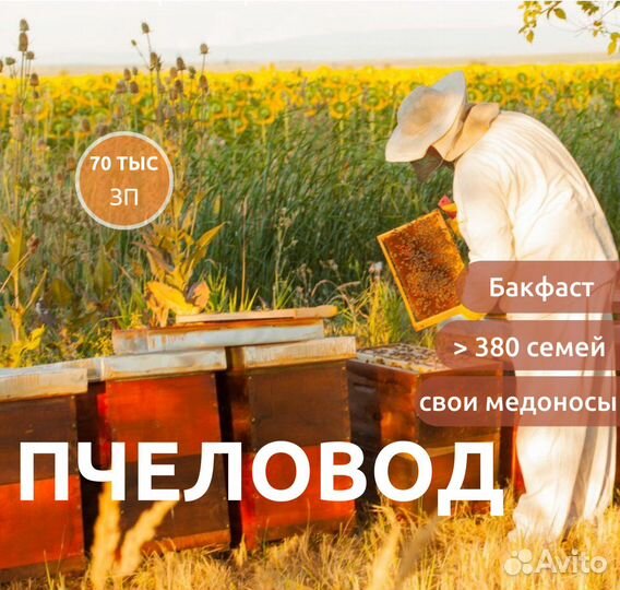 Пчеловод