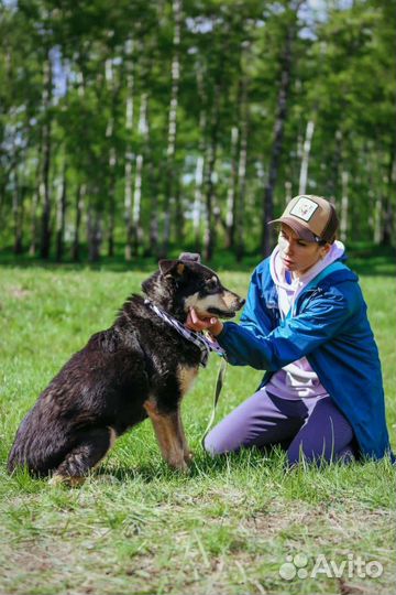 Собака старушечка Зося на доживание