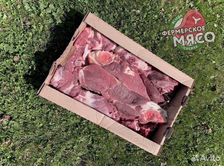 Мясо говядина