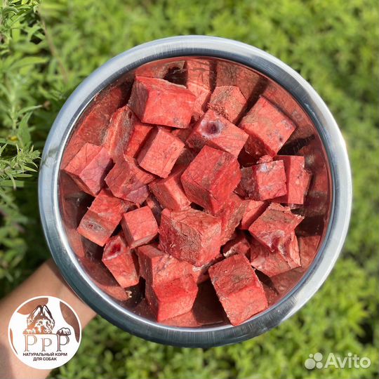 Мясо для собак. Обрезь. Легкое. Корм для собак