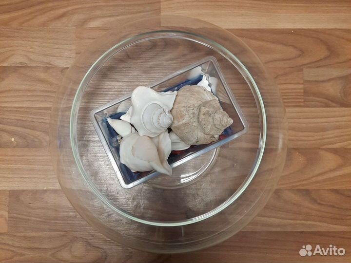 Аквариум, переноска, грует