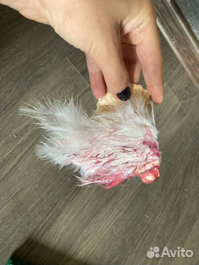 Реквизит для фотосессии сломанные крылья ангела