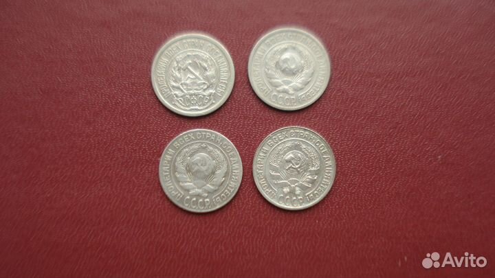 Суккуленты