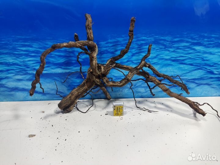 Коряги для интерьера