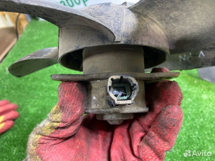 Вентилятор охлаждения радиатора Nissan Almera N16