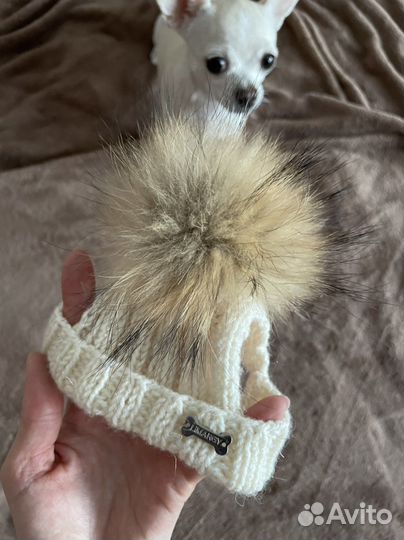 Шапка для маленьких собак