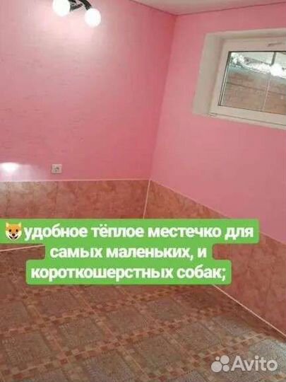 Зоогостиница для собак