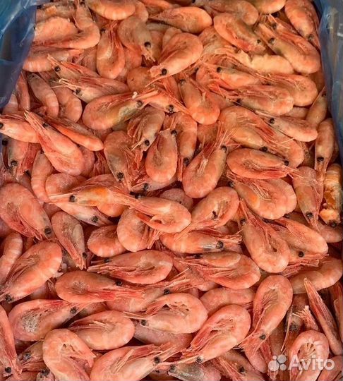 Креветки н/р в/м 150+ ту (20*1кг) 1/20 кг