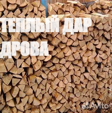 Дрова березовые купить
