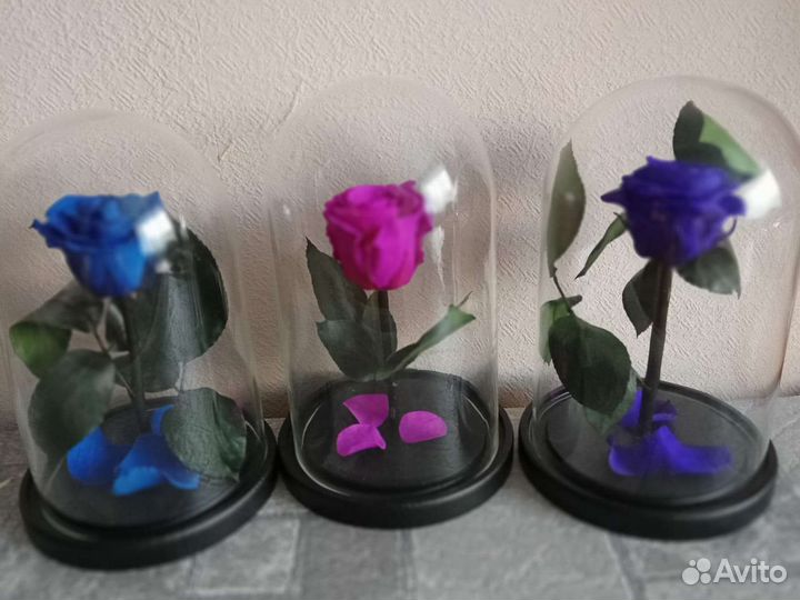 Роза в колбе в ассортименте