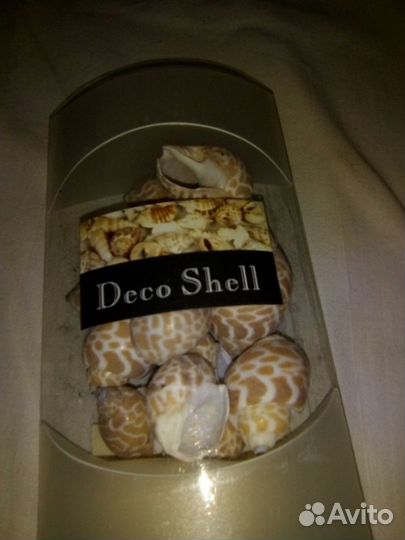 Ракушки декоративные
