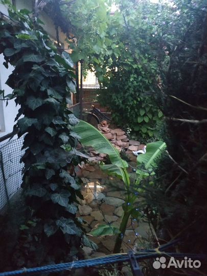 Отдых на море в Ейске