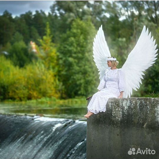 Аренда прокат крылья