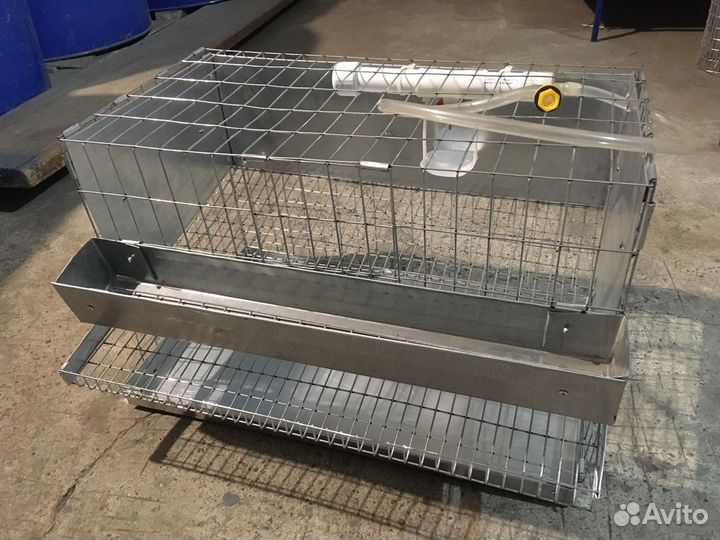 Клетки для кур, перепелов