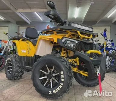 Квадроцикл Motoland Wild Track X 200cc PRO