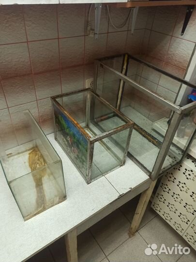 Террариумы из аквариумов - 3 шт
