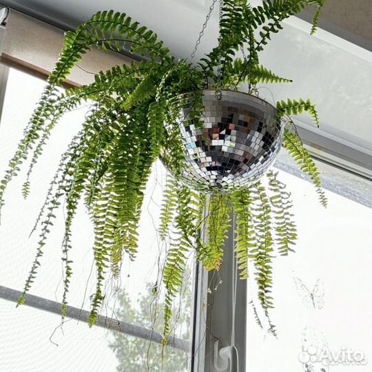 Кашпо из диско шара / кашпо из зеркальной мозаики