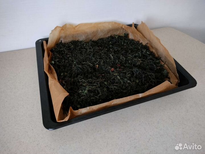 Иван чай, сбор июль 2023