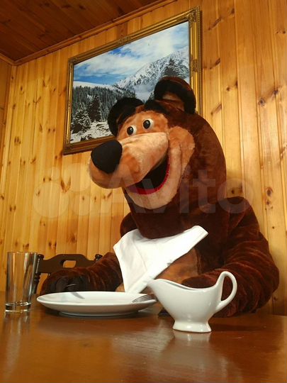 Дом 50 м² на участке 50 сот.