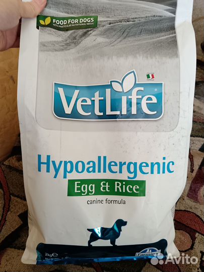 Корм для собак