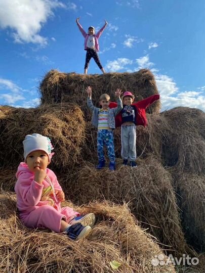 Катание на лошадях