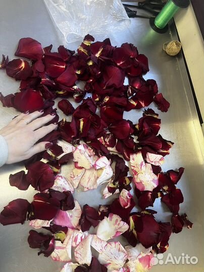 Лепестки роз