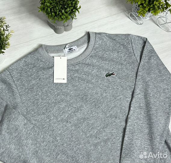 Свитшот lacoste