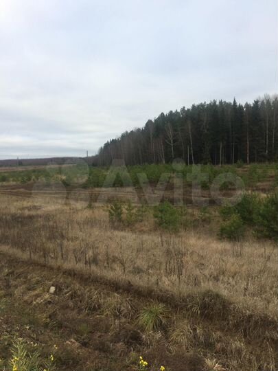 Участок 7,55 га (СНТ, ДНП)