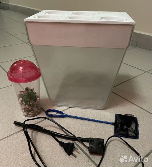 Акваферма, аквариум