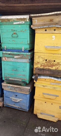 Улей для пчел бу