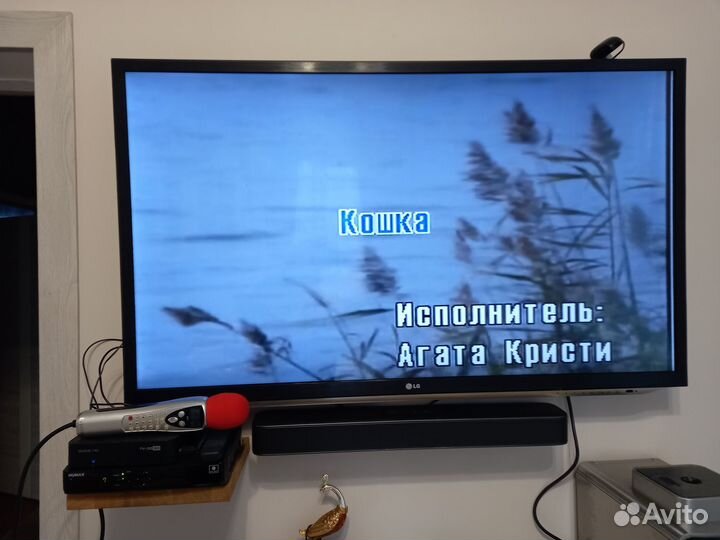 Картридж в караоке микрофон Leadsinger, Favorit SD