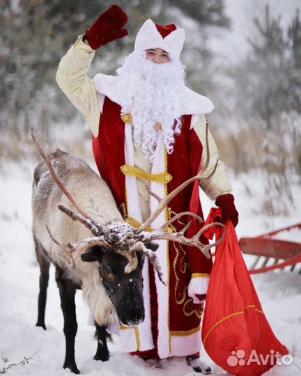 Животные на ваше мероприятие