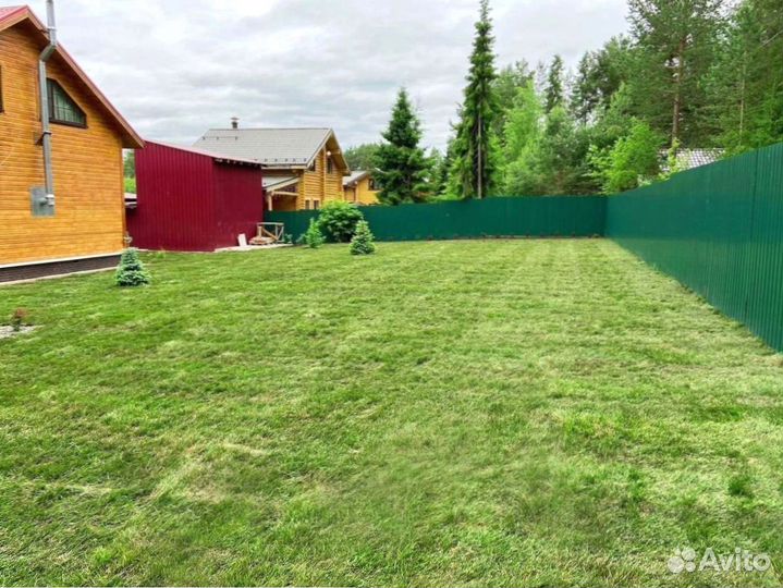 Рулонный газон для участка