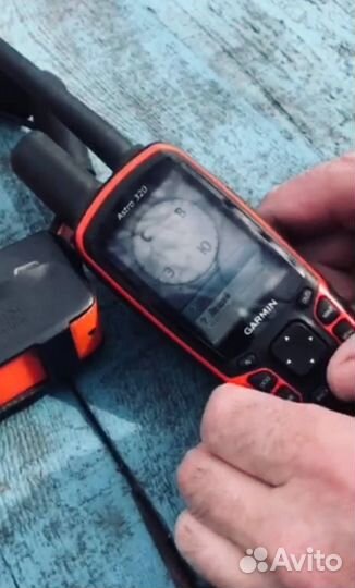 Навигатор Garmin Astro 320 с ошейником Т5