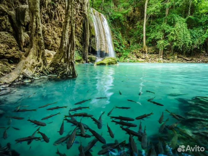 Relax тур в г. Паттайю 7 нч