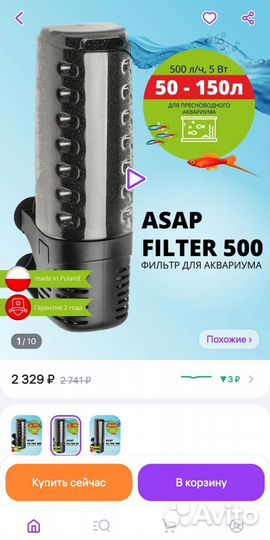 Сапфировый попугай обмен