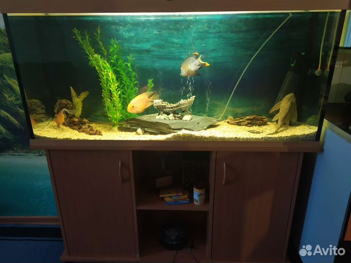 Аквариум с тумбой 300 литров