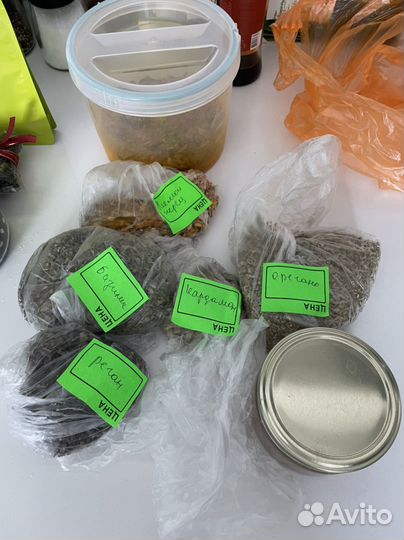 Отдам бесплатно