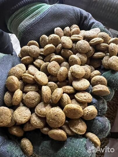 Сухой корм для собак с индейкой, бараниной