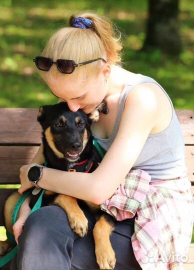 Щенок в добрые руки