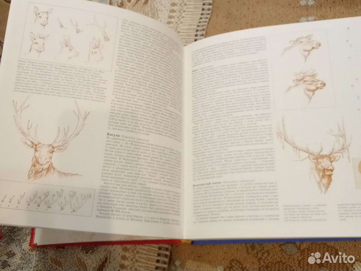 Охота энциклопедия Роберт Элман