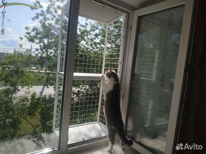 Балкон для кошек