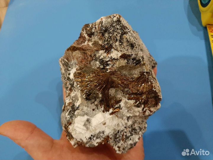 Астрофилит