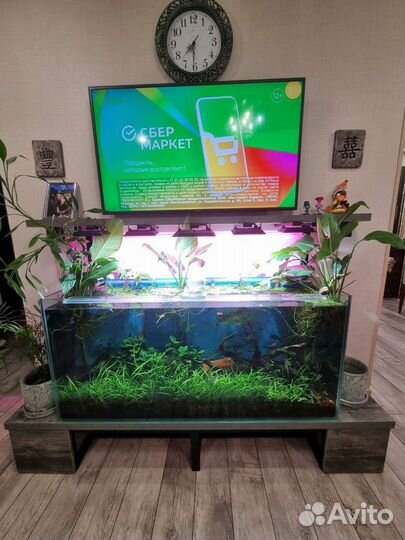Аквариум