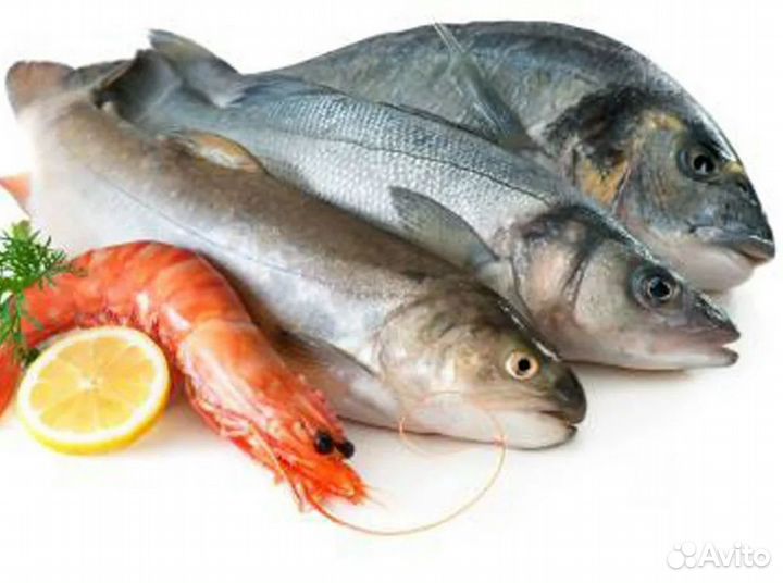 Готовый бизнес в рыбной сфере с клиентами