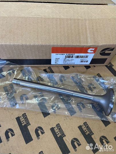 Клапан впускной cummins N14, NTA855